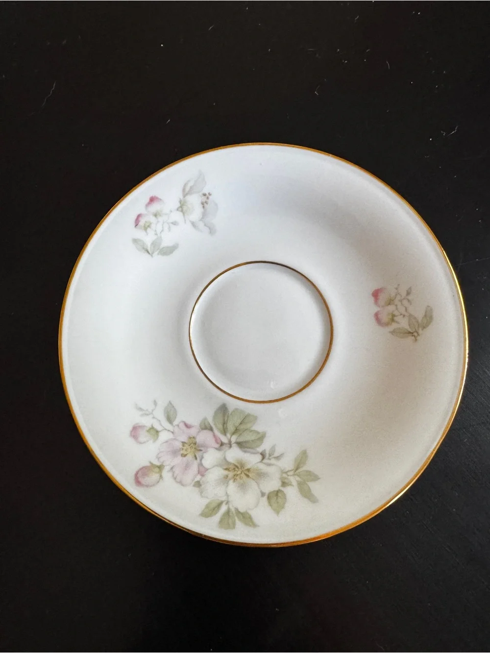 Vintage Tirschenreuth Bavaria Footed Cup & Saucer - Pink & White Apple Blossoms